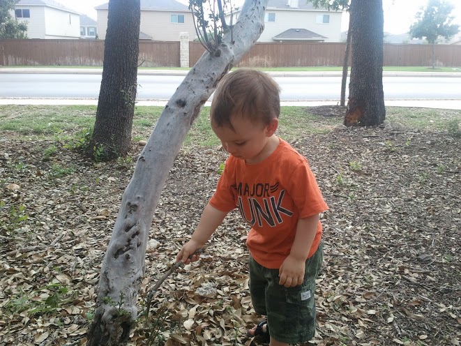 Poking a tree